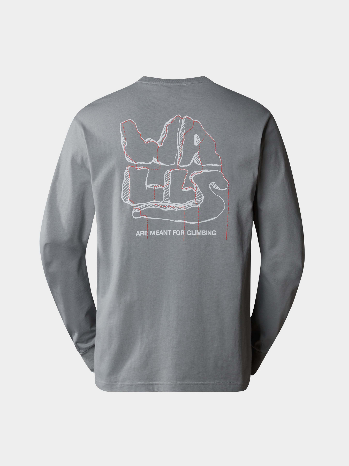 Лонгслив The North Face M Outdoor Graphic L/S модель NF0A880WH5F1 Фото