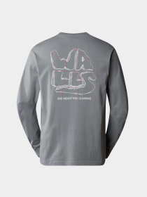 Лонгслив The North Face M Outdoor Graphic L/S модель NF0A880WH5F1 Фото