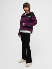 Ветровка The North Face Reign On Jacket модель NF0A3XDC6NR1 Ветровка The North Face Reign On Jacket модель NF0A3XDC6NR1 Фото