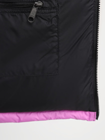 Утеплений жилет The North Face W 1996 Retro Nuptse Vest модель NF0A3XEPQIX1 Фото