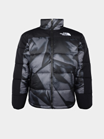 Демисезонная куртка The North Face M Hmlyn Insulated Jacket Print модель NF0A887ASIF1 Фото