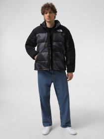 Демісезонна куртка The North Face M Hmlyn Insulated Jacket Print модель NF0A887ASIF1 Фото