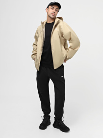 Ветровка The North Face Quest модель NF00A8AZLK51 Фото