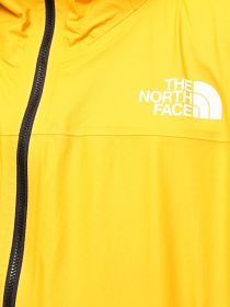 Ветровка The North Face M Summit Papsura Futurelight Jacket модель NF0A84PR56P1 Фото