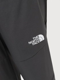 Штаны спортивные The North Face W Ma Wind Track Pant модель NF0A87G5WUO1 Фото