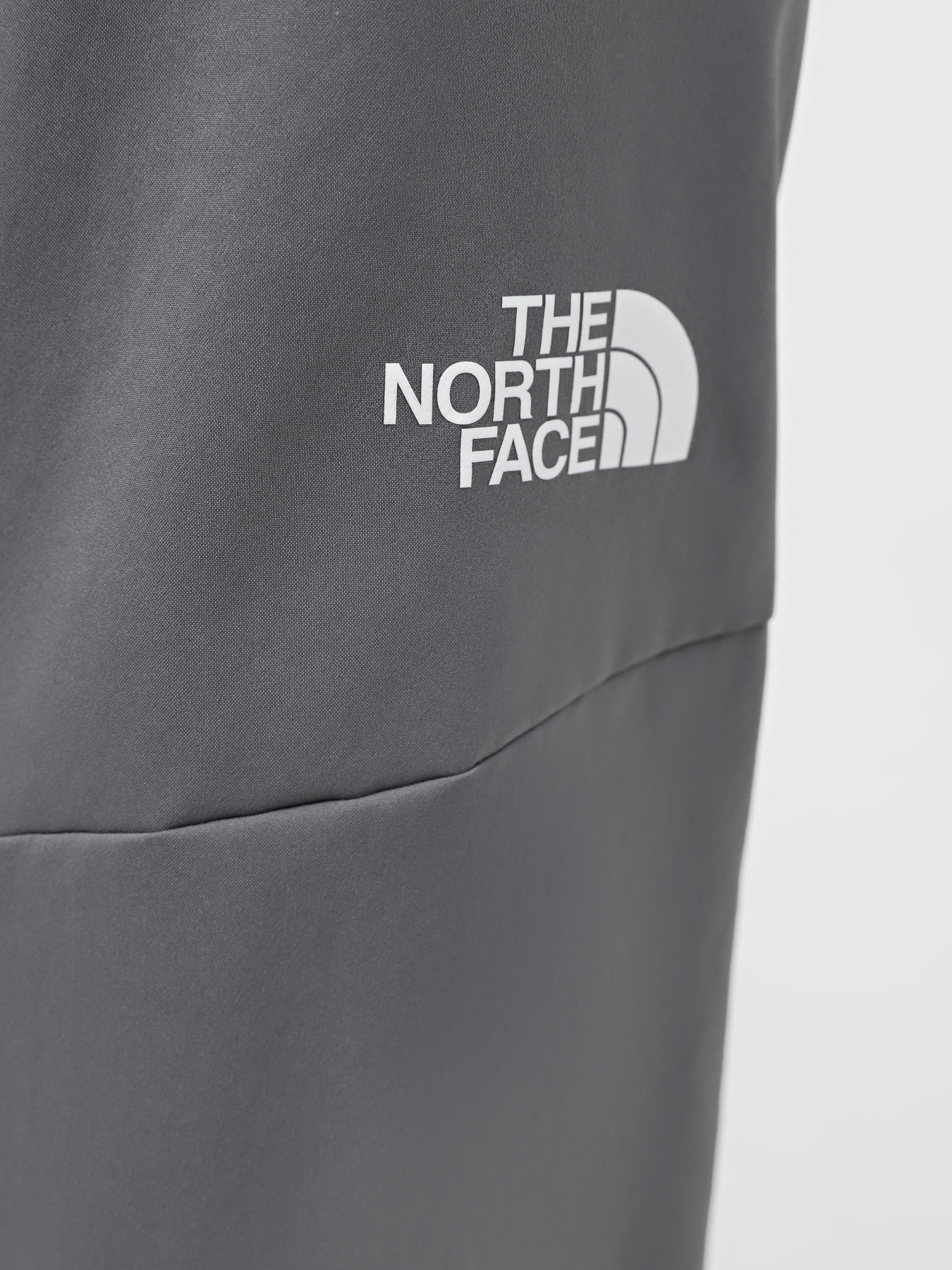 Штаны спортивные The North Face M Ma Wind Track Pant модель NF0A87J6W2O1 Фото