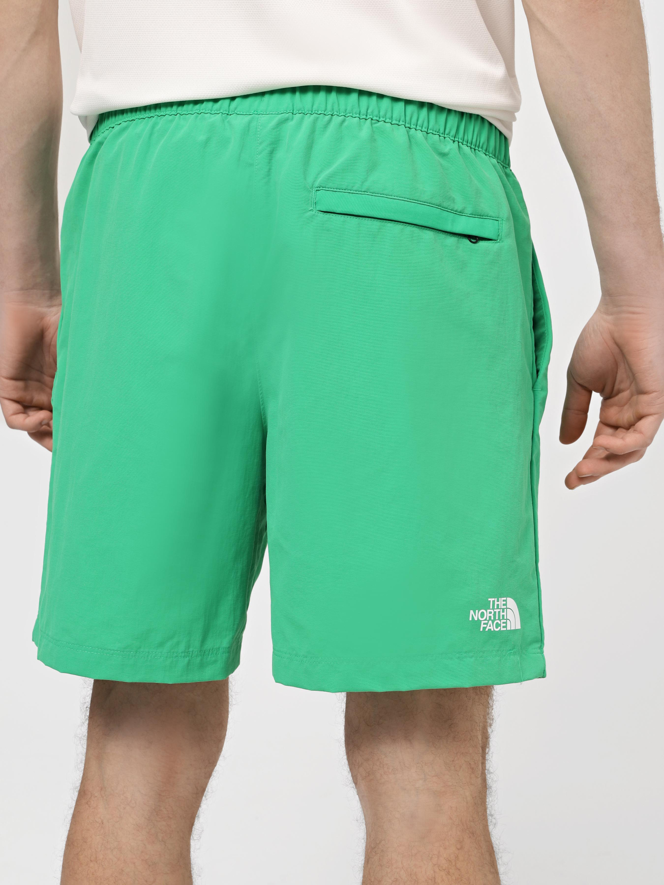 Шорты спортивные The North Face M Water Short - Eu модель NF0A5IG5PO81 Фото