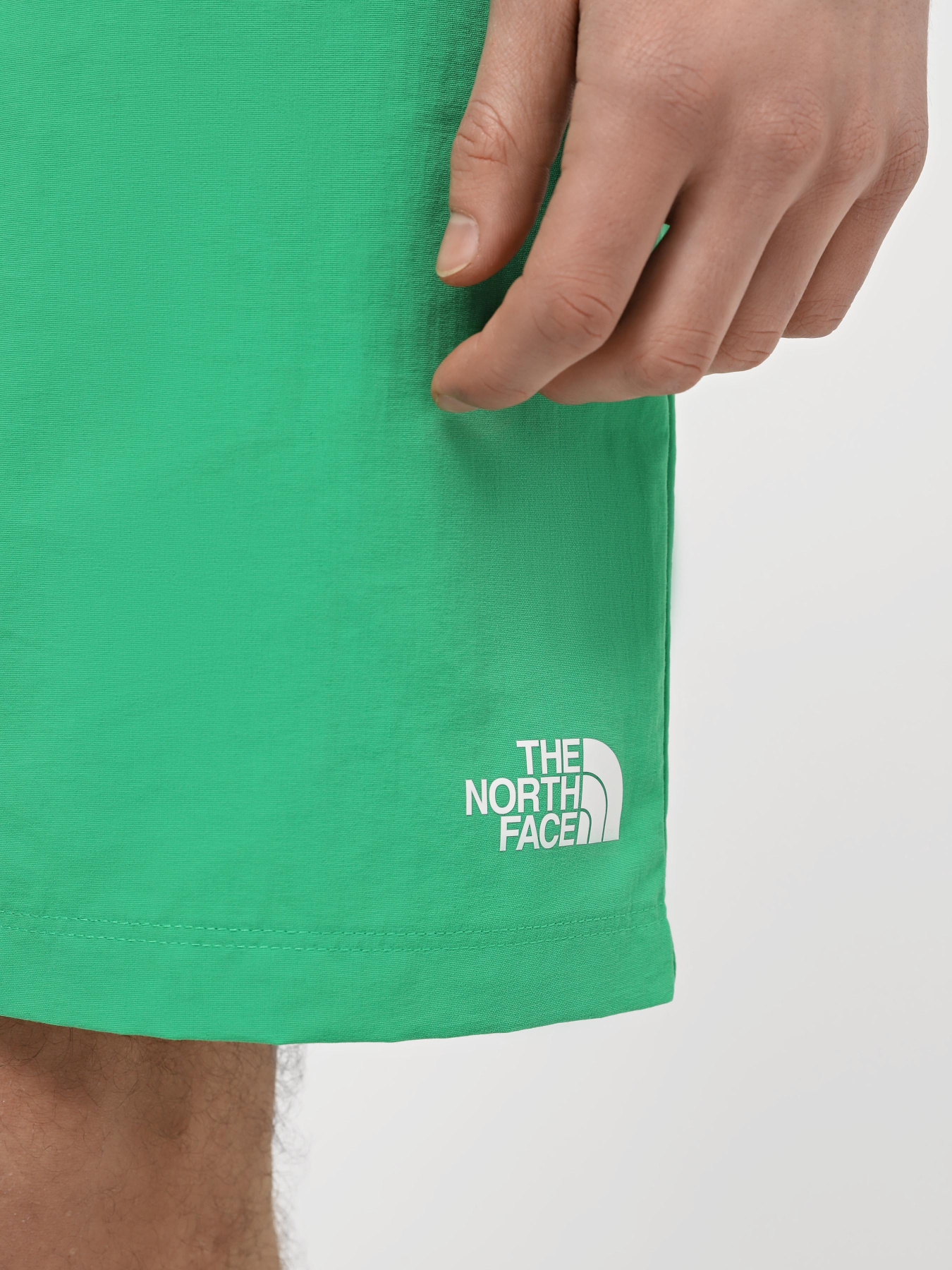 Шорты спортивные The North Face M Water Short - Eu модель NF0A5IG5PO81 Фото