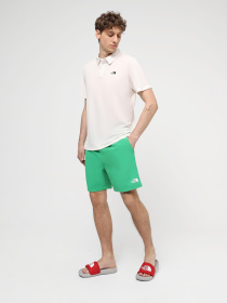 Шорты спортивные The North Face M Water Short - Eu модель NF0A5IG5PO81 Фото