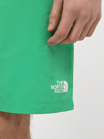 Шорты спортивные The North Face M Water Short - Eu модель NF0A5IG5PO81 Фото