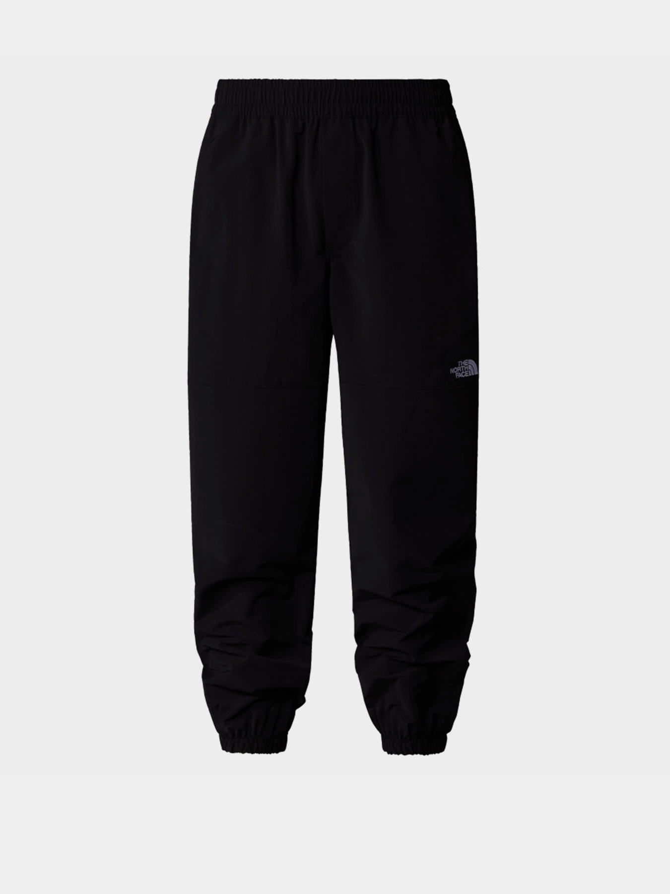 Брюки повседневные The North Face Easy Wind модель NF0A8767JK31 Фото