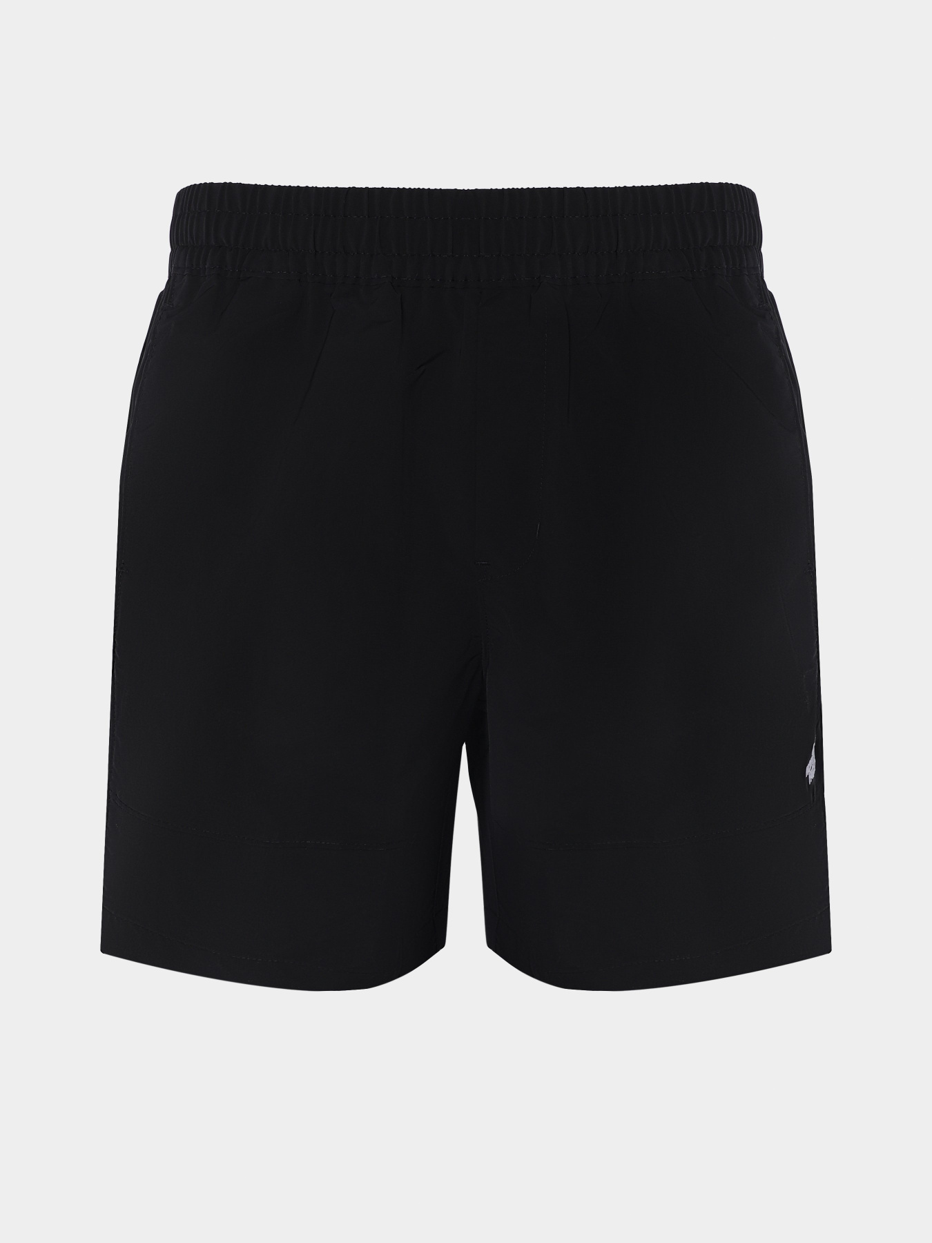 Шорты спортивные The North Face M Tnf Easy Wind Short модель NF0A8768JK31 Фото