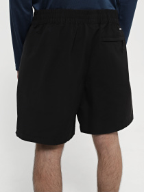 Шорты спортивные The North Face M Tnf Easy Wind Short модель NF0A8768JK31 Фото