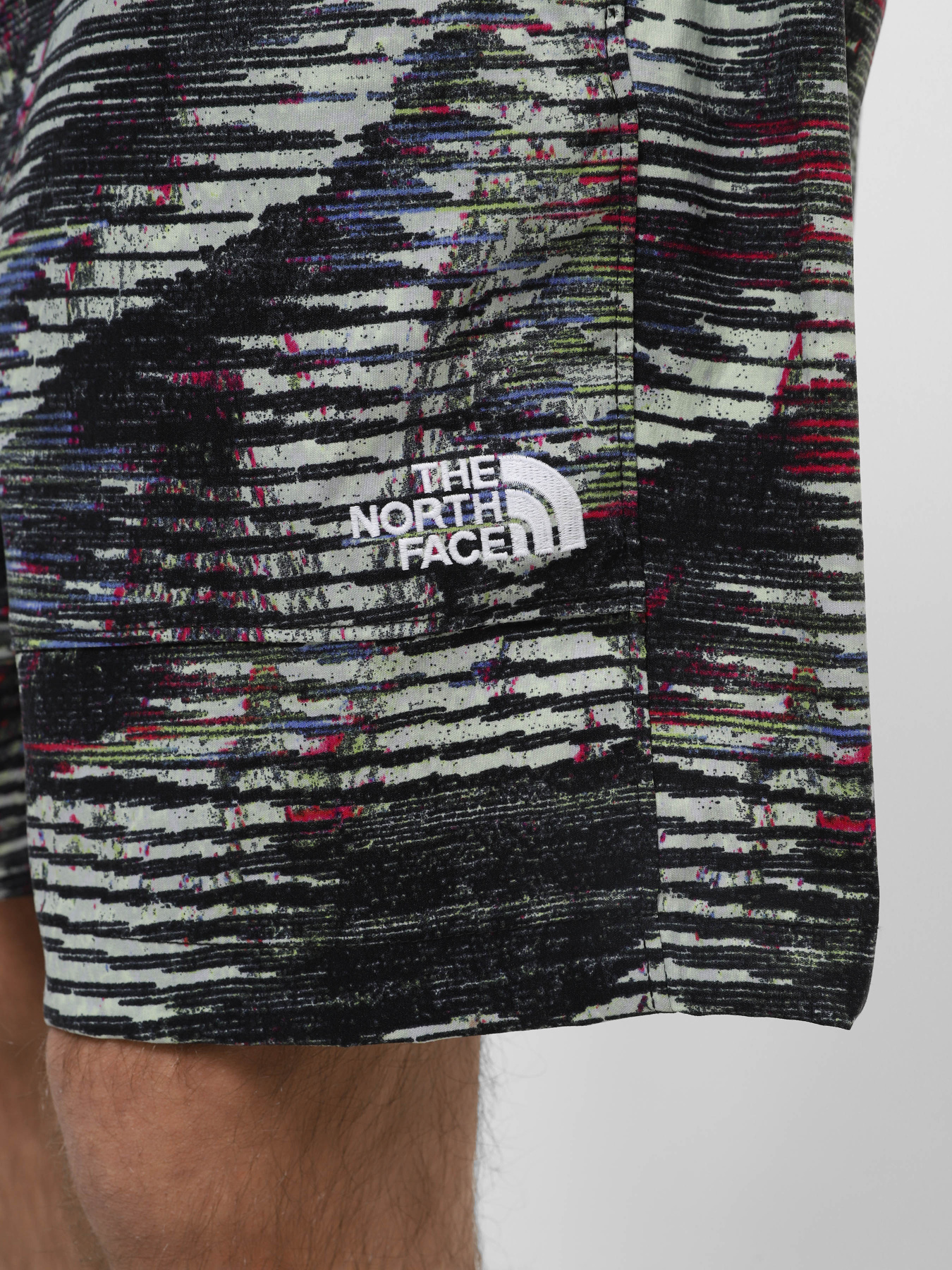 Шорты спортивные The North Face M Tnf Easy Wind Short модель NF0A8768SIR1 Фото