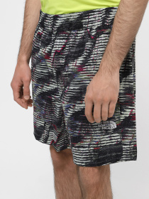 Шорты спортивные The North Face M Tnf Easy Wind Short модель NF0A8768SIR1 Фото