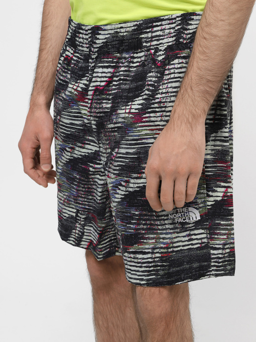 Шорты спортивные The North Face M Tnf Easy Wind Short модель NF0A8768SIR1 Фото