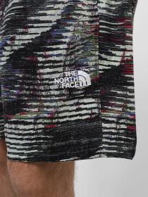 Спортивні шорти The North Face M Tnf Easy Wind Short модель NF0A8768SIR1 Фото