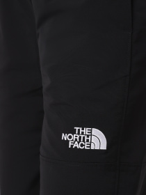 Брюки повседневные The North Face Easy Wind модель NF0A8769JK31 Фото