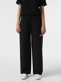 Брюки повседневные The North Face Easy Wind модель NF0A8769JK31 Фото