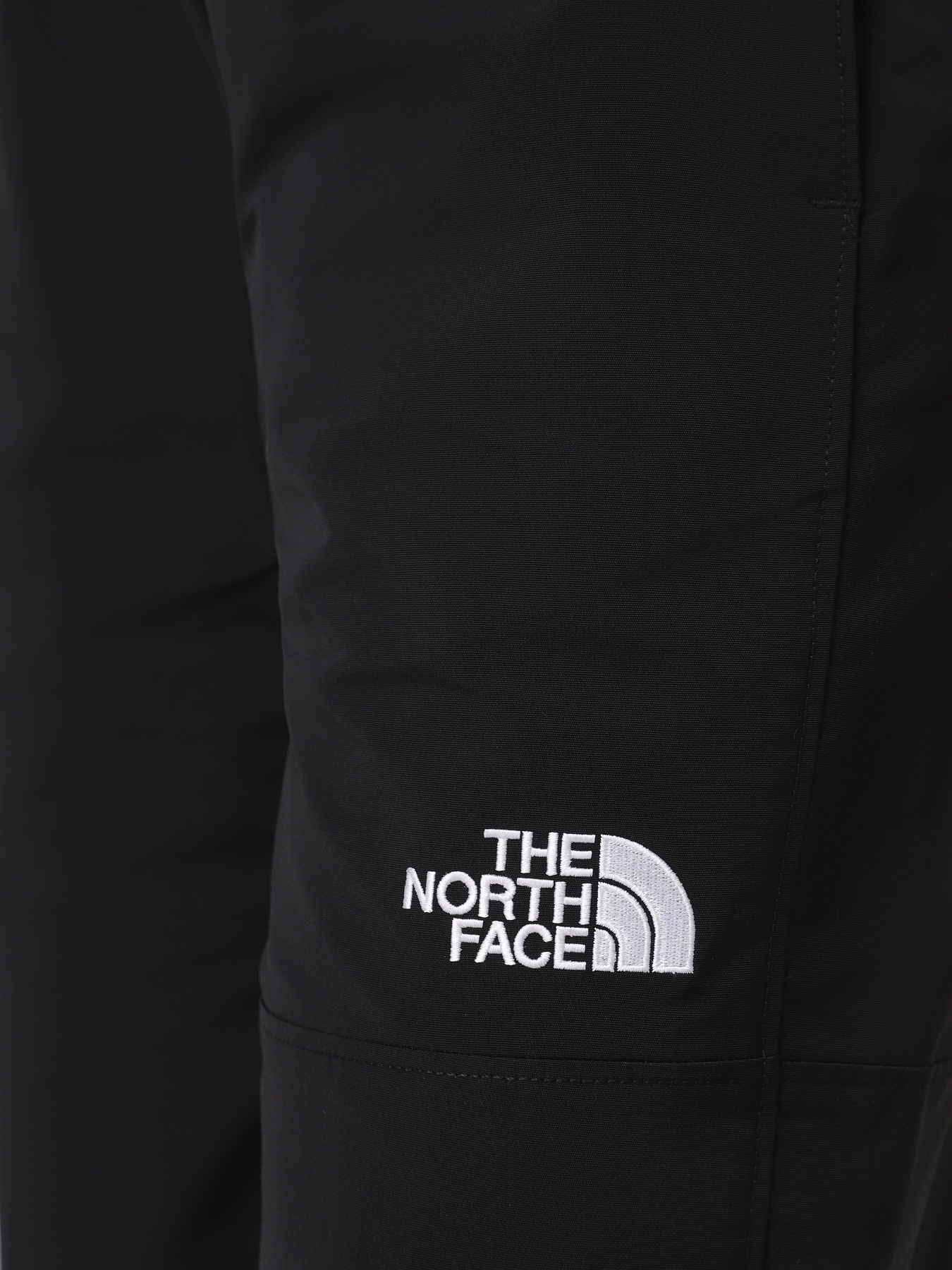 Повседневные штаны The North Face Easy Wind модель NF0A8769JK31 Фото
