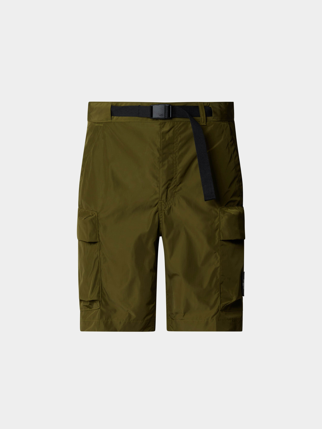 Повсякденні шорти The North Face M Nse Cargo Pkt Short модель NF0A879RPIB1 Повсякденні шорти The North Face M Nse Cargo Pkt Short модель NF0A879RPIB1 Фото