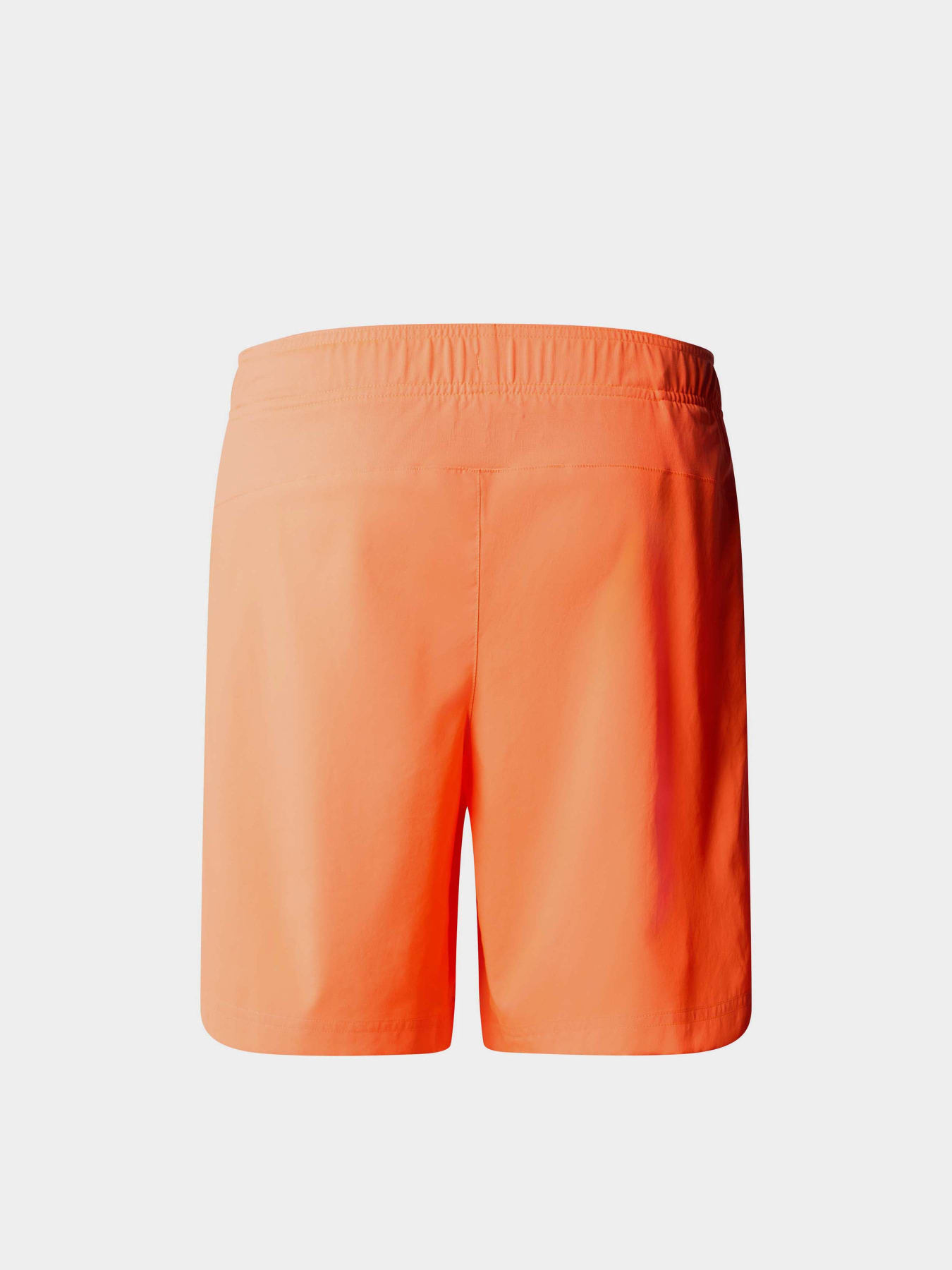 Шорты спортивные The North Face 24/7 модель NF0A3O1BQI41 Фото