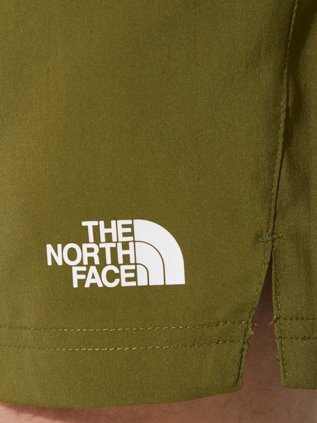 Спортивні шорти The North Face M 24/7 Short - Eu модель NF0A3O1BPIB1 Фото