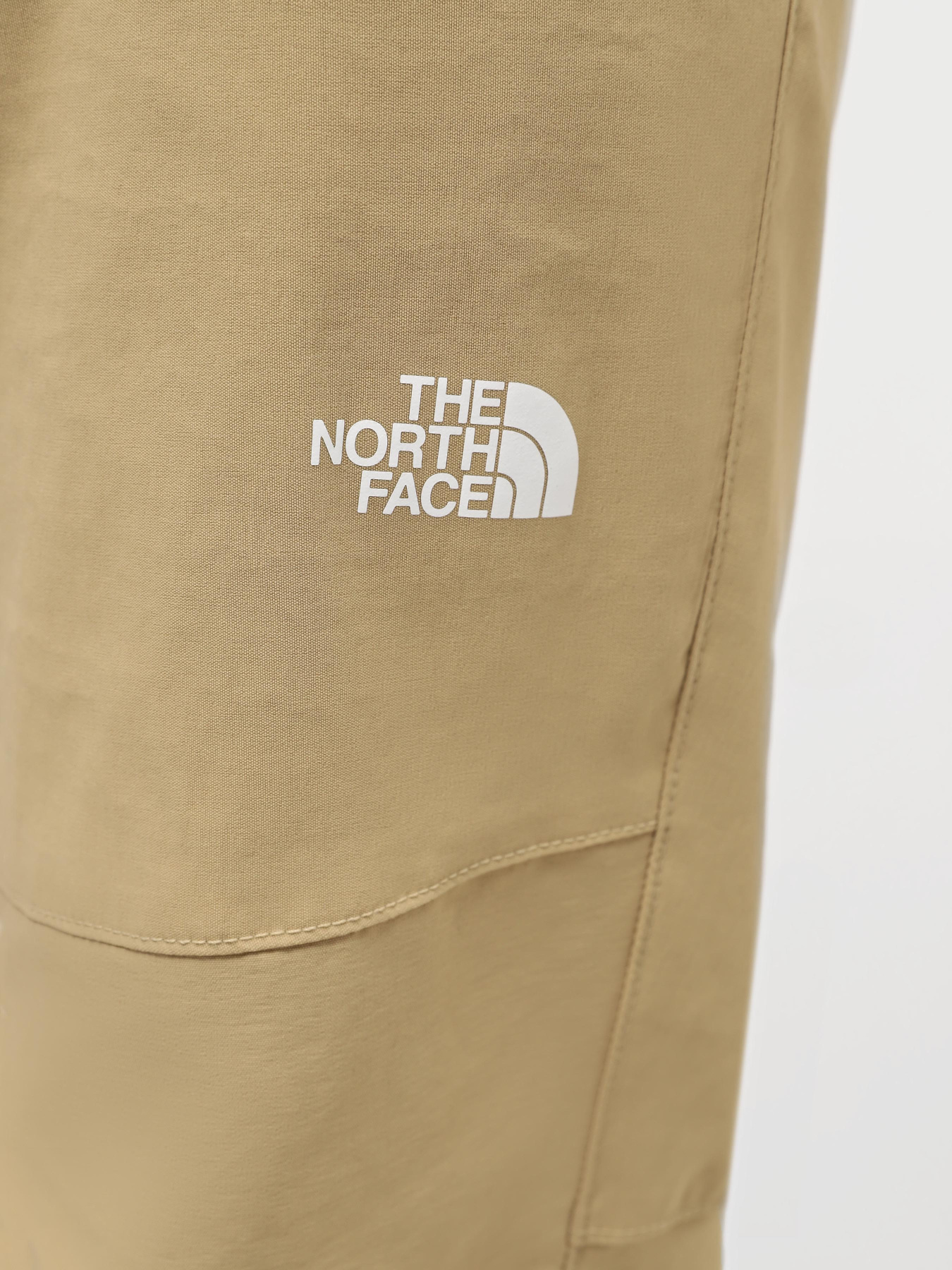Брюки повседневные The North Face M Lightning Pant - Eu модель NF0A495NLK51 Фото