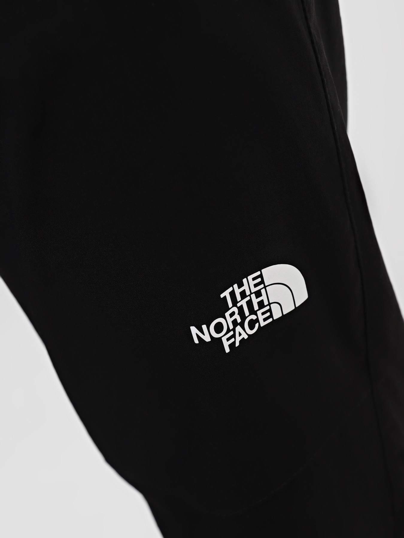 Повседневные штаны The North Face M Lightning Pant - Eu модель NF0A495NJK31 Фото