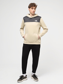 Худі The North Face M Reaxion Fleece P/O Hoodie  - Eu модель NF0A7ZA8ZTI1 Фото