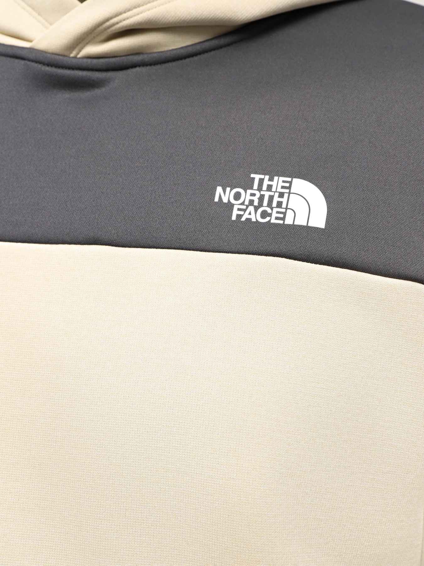 Худі The North Face M Reaxion Fleece P/O Hoodie  - Eu модель NF0A7ZA8ZTI1 Фото