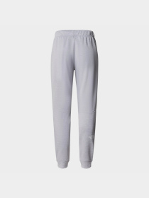 Штаны спортивные The North Face W Reaxion Fleece Jogger – Eu модель NF0A7ZABGAV1 Фото