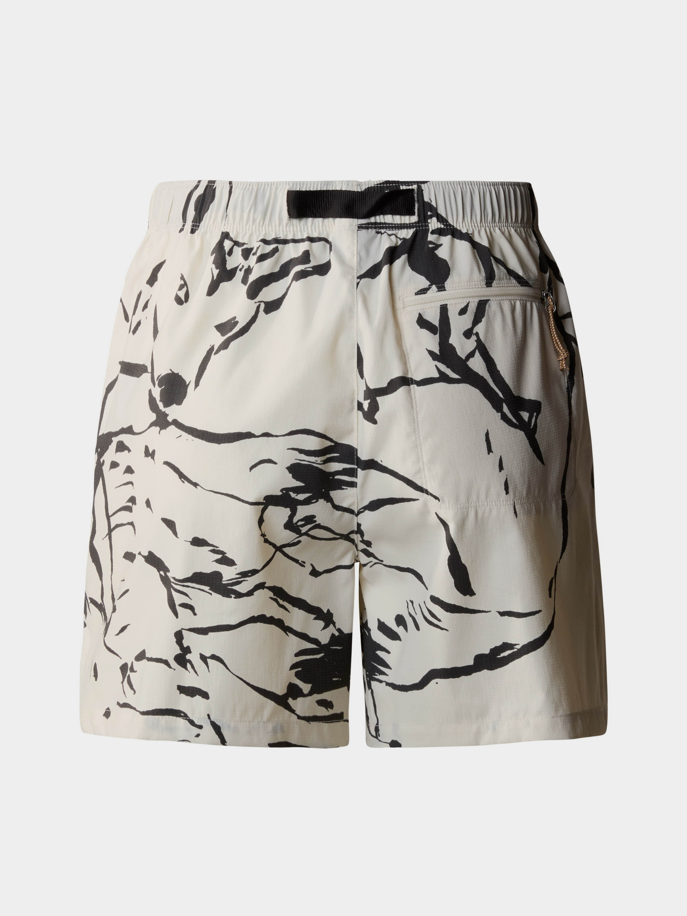 Шорты спортивные The North Face W Class V Pathfinder Belted Short модель NF0A81VWSI61 Фото