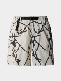 Шорты спортивные The North Face W Class V Pathfinder Belted Short модель NF0A81VWSI61 Фото