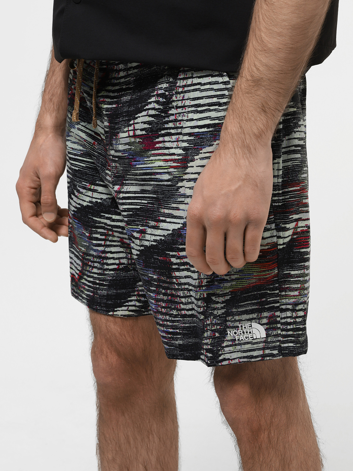 Шорты спортивные The North Face M Class V Ripstop Boardshort модель NF0A81X1SIR1 Фото