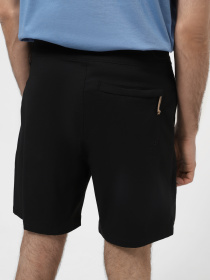 Шорты спортивные The North Face Class V Ripstop Boardshort модель NF0A81X1JK31 Фото