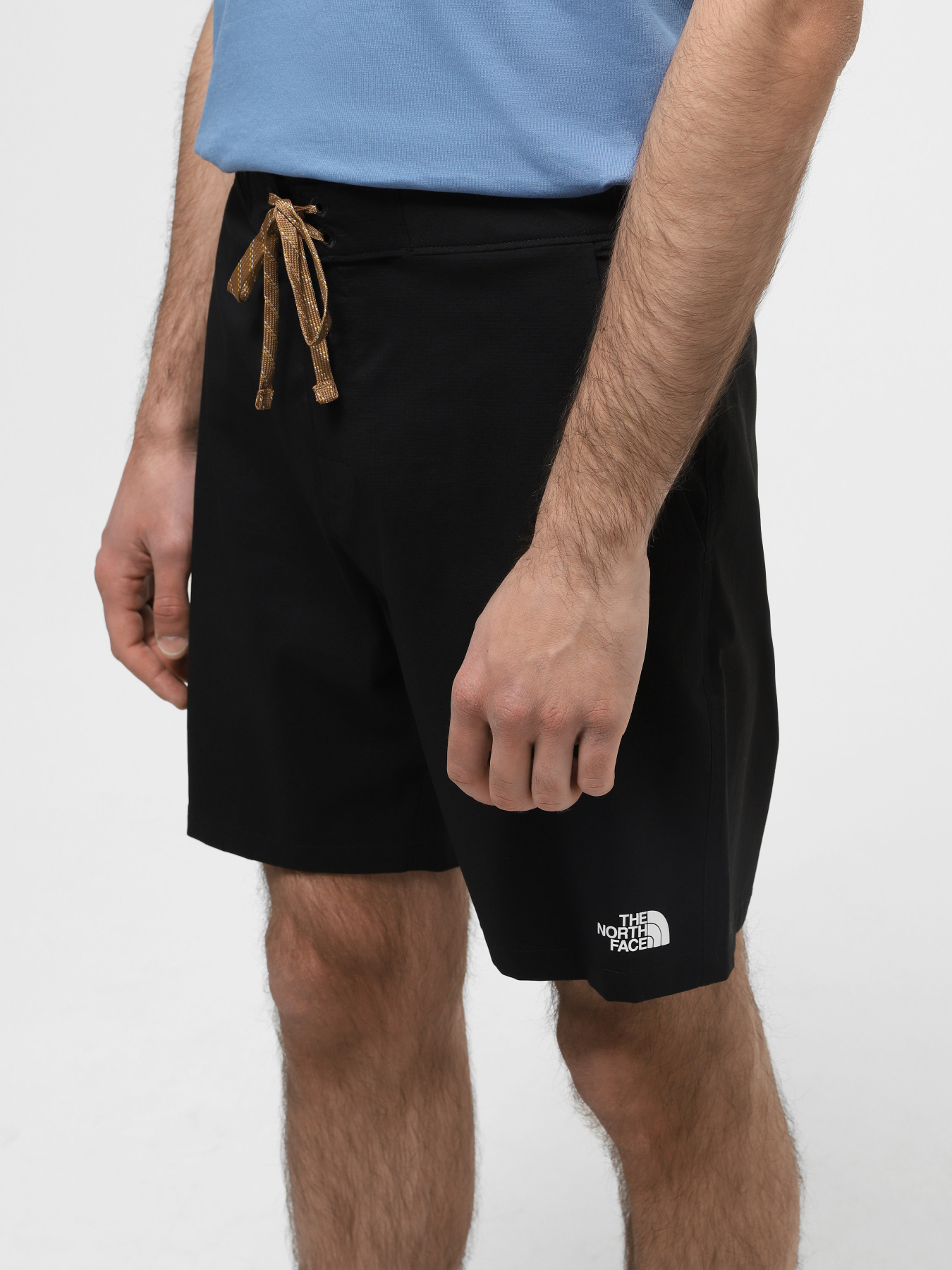 Шорты спортивные The North Face Class V Ripstop Boardshort модель NF0A81X1JK31 Фото