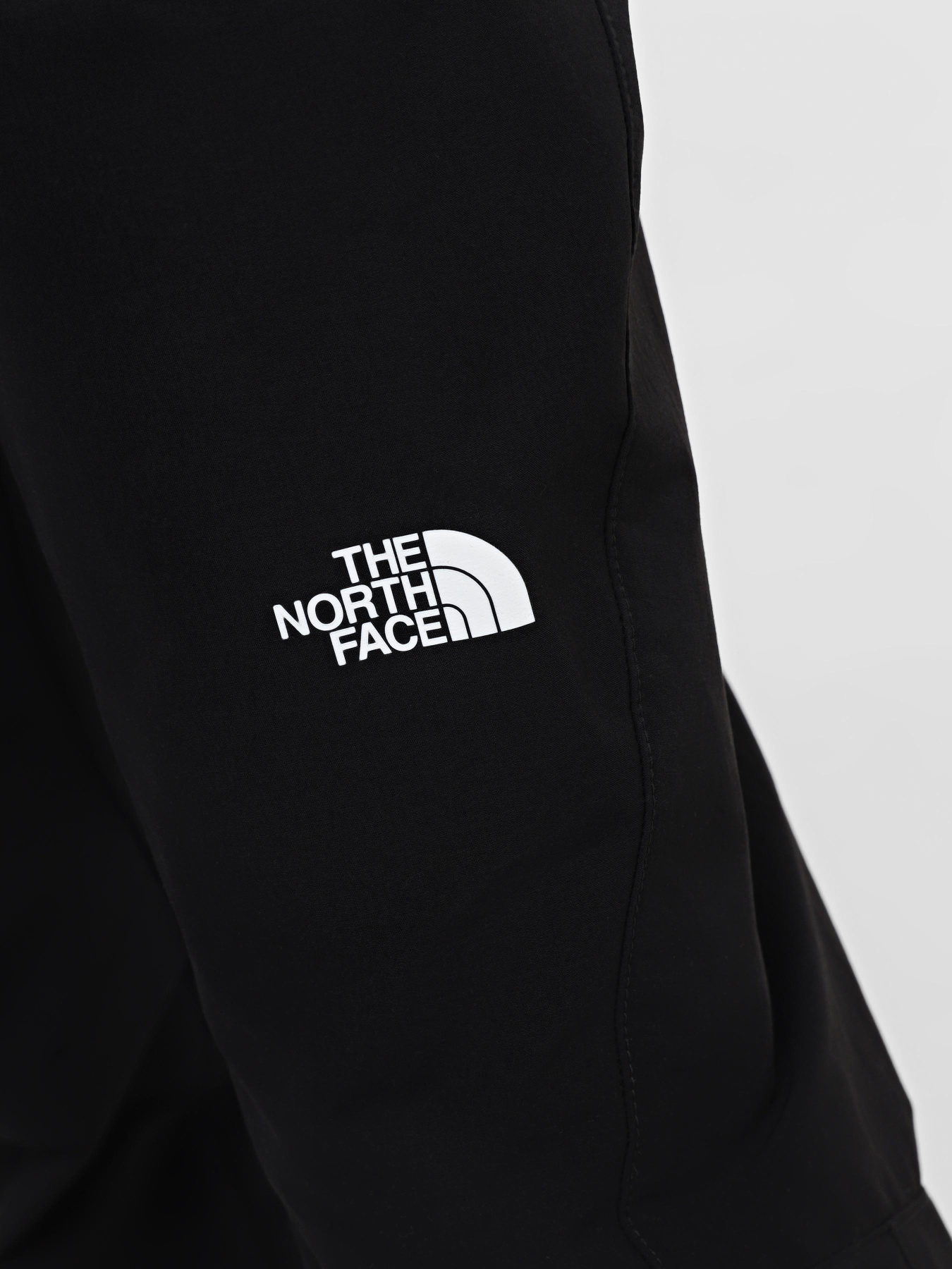 Брюки повседневные The North Face Exploration модель NF0A824GJK31 Фото