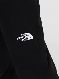 Брюки повседневные The North Face Exploration модель NF0A824GJK31 Фото