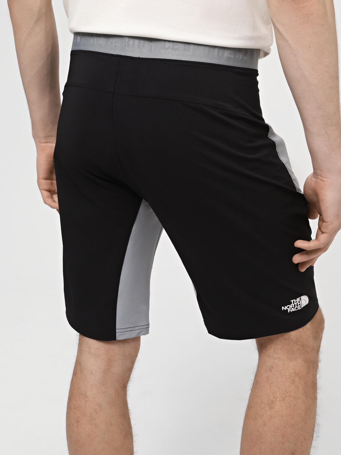 Спортивні шорти The North Face M Felik Slim Tapered Short модель NF0A825XK1C1 Фото