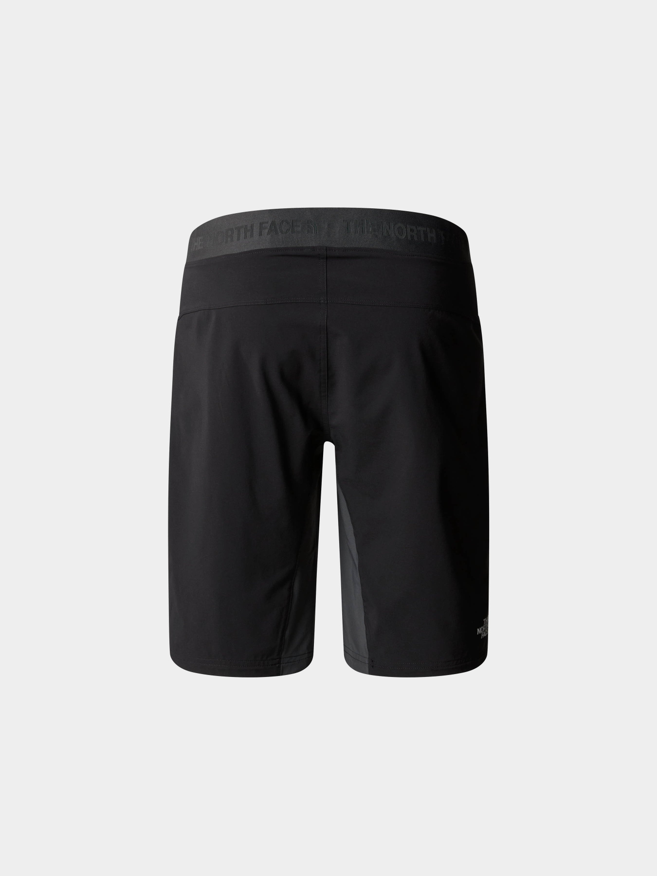 Спортивні шорти The North Face M Felik Slim Tapered Short модель NF0A825XK1C1 Фото