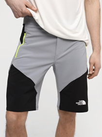 Спортивні шорти The North Face M Felik Slim Tapered Short модель NF0A825XK1C1 Фото