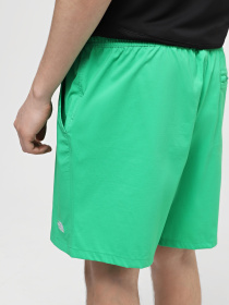 Спортивні шорти The North Face M Class V Pathfinder Pull On Short модель NF0A86QMPO81 Фото