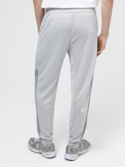 Штани спортивні The North Face M Ma Fleece Jogger модель NF0A87JFJ4U1 — фото 3 - INTERTOP