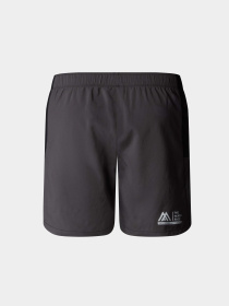 Шорты спортивные The North Face M Ma Woven Short модель NF0A87JMW9O1 Фото
