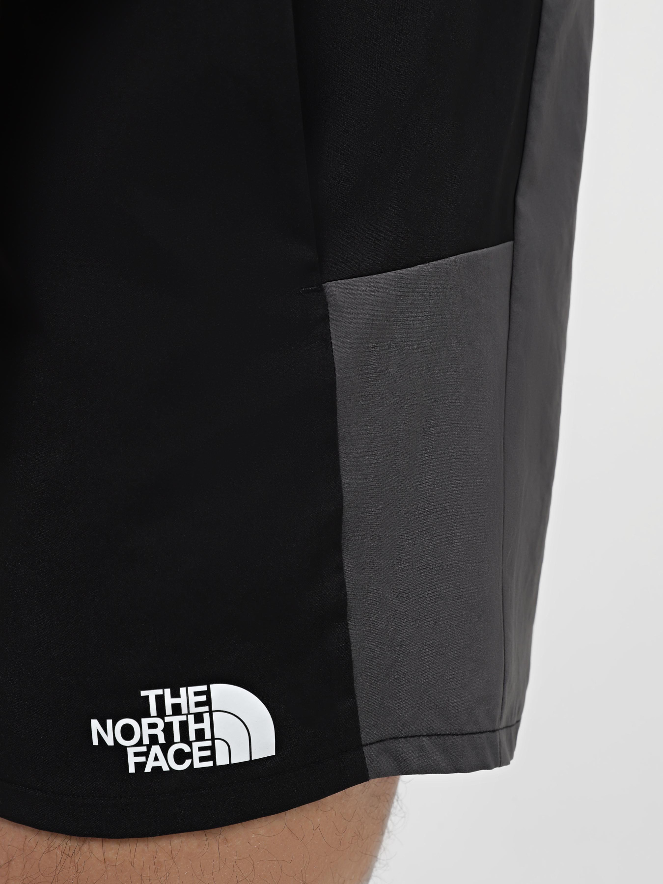 Спортивні шорти The North Face M Ma Woven Short модель NF0A87JMW9O1 Фото