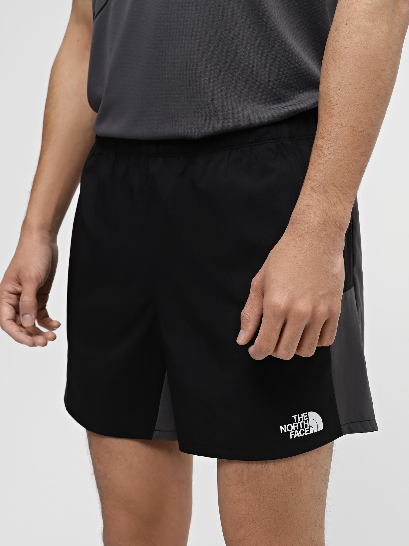 Спортивні шорти The North Face M Ma Woven Short модель NF0A87JMW9O1 Фото