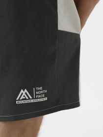 Шорты спортивные The North Face M Ma Woven Short модель NF0A87JMXOF1 Фото