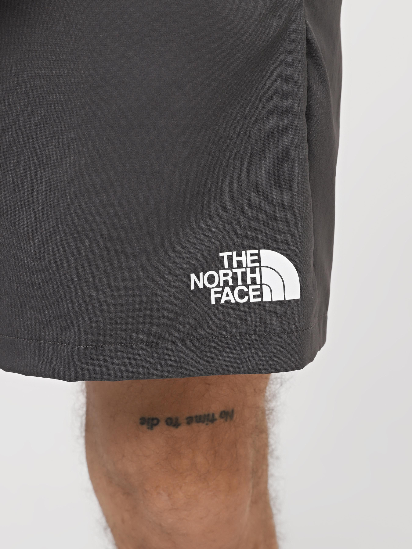 Шорты спортивные The North Face M Ma Woven Short Graphic модель NF0A87JNWUO1 Фото