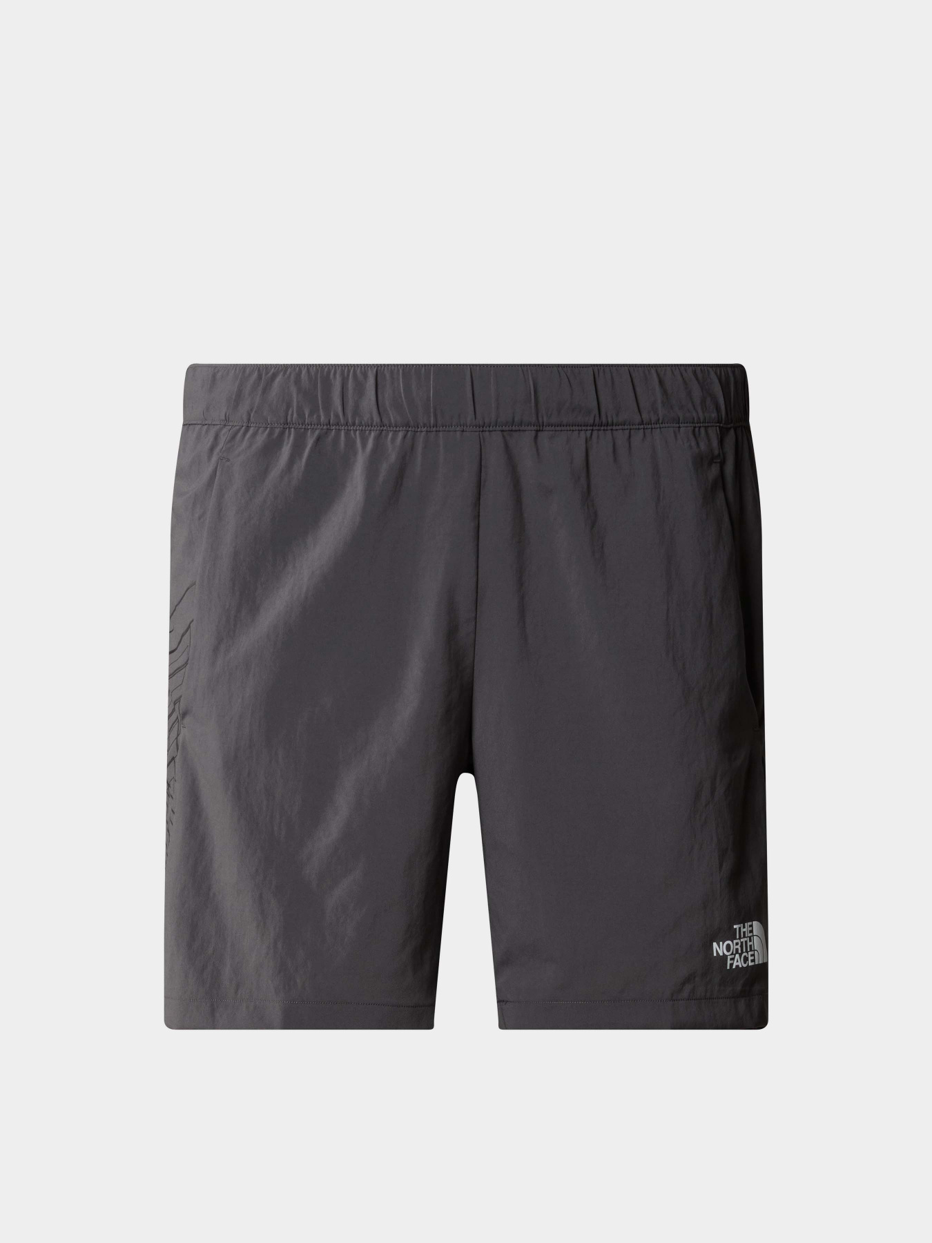 Шорты спортивные The North Face M Ma Woven Short Graphic модель NF0A87JNWUO1 Фото